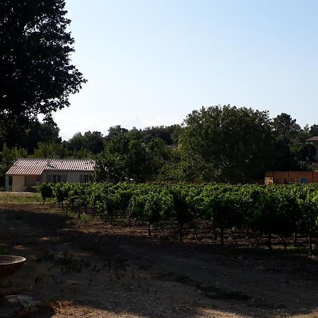 La Petite Maison Dans Les Vignes Chamaret Esterno foto