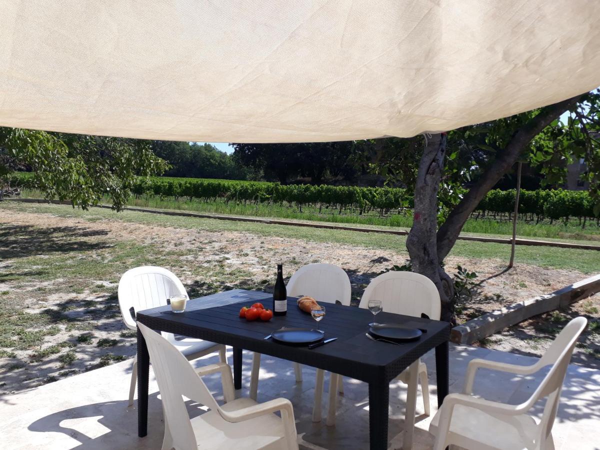 La Petite Maison Dans Les Vignes Chamaret Esterno foto