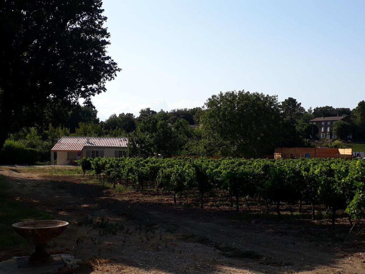 La Petite Maison Dans Les Vignes Chamaret Esterno foto