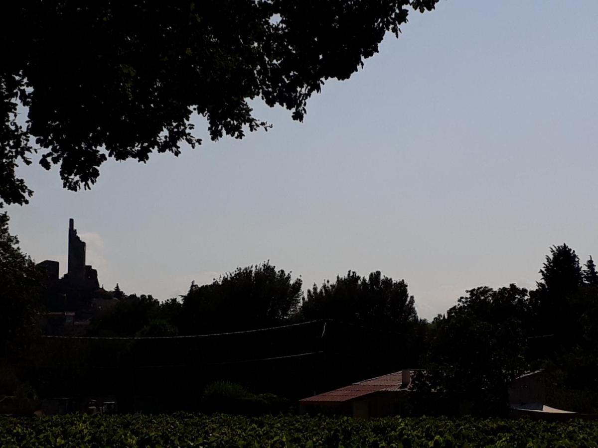 La Petite Maison Dans Les Vignes Chamaret Esterno foto